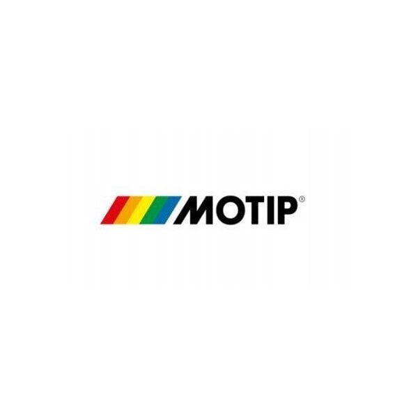 ΧΡΩΜΑ MOTIP ΑΣΗΜΙ 955240 ΜΕΤΑΛΛΙΚΟ 12ML