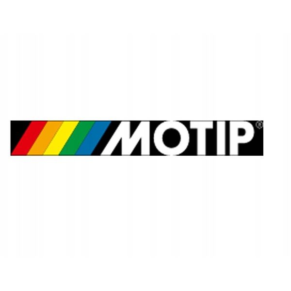 ΧΡΩΜΑ MOTIP ΑΣΗΜΙ 955300 ΜΕΤΑΛΛΙΚΟ 12ML