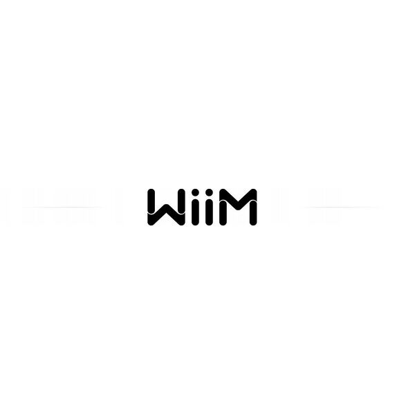 WiiM Vibelink Amp - dark grey - Ενισχυτής Hi-Fi