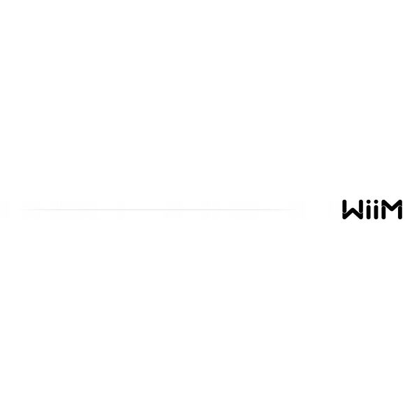 WiiM Vibelink Amp - dark grey - Ενισχυτής Hi-Fi