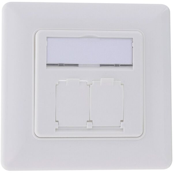 Σετ πλαισίου InLine® για 2x RJ45 Bu/LSA χρήση, Keystone SNAP-In, λευκό RAL9010