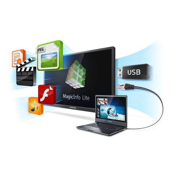 Samsung MagicInfo Lite S/W Server License 1 x licencja