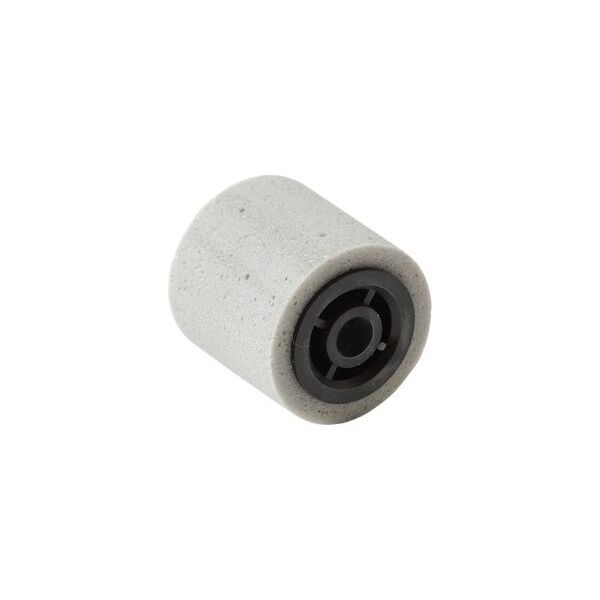 Ricoh Rolka (D5412241)