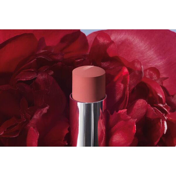 Christian Dior, Dior Rouge, Jojoba, Κραγιόν Κρέμας, 558, Grace, 3.2 g Για Γυναίκες