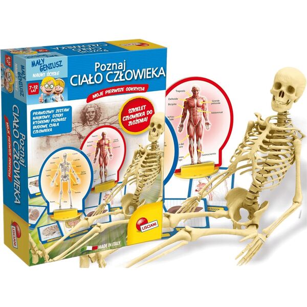 Lisciani Poznaj Ciało Człowieka