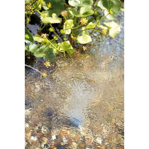 Oase 34064 AquaOxy 250 Perlator 250 l/h