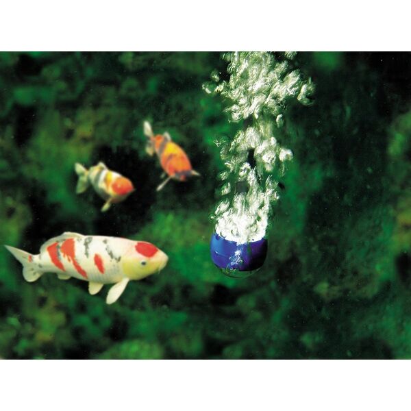 Oase 34064 AquaOxy 250 Perlator 250 l/h
