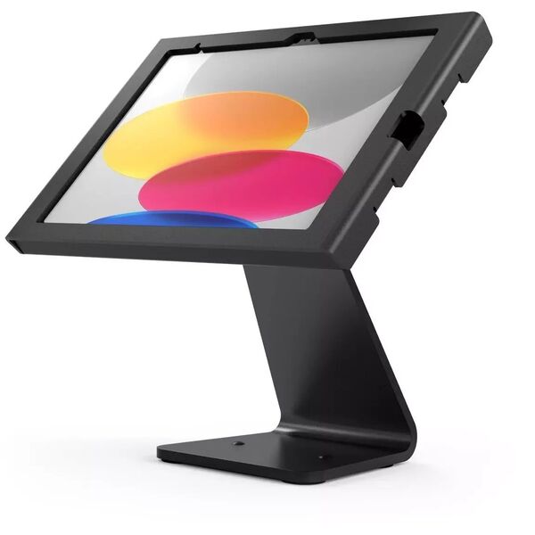 IPAD 10.9IN 10TH GEN SWELL