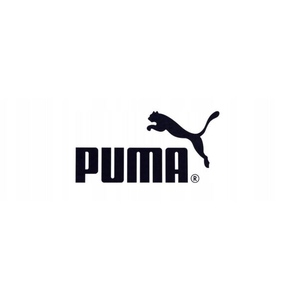 Παπούτσια Puma Future 8 Match FG/AG 108140-03