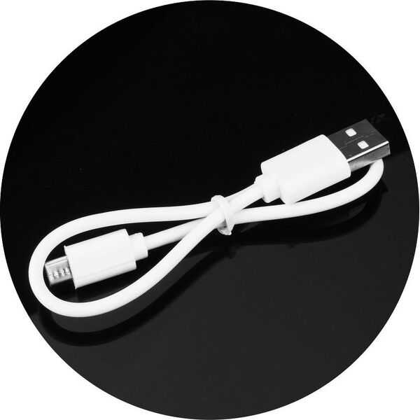 Powerbank Partner Tele.com Bateria zewnętrzna (POWER BANK) licencjonowany Brelok Panda Multicolor 2200 mAh