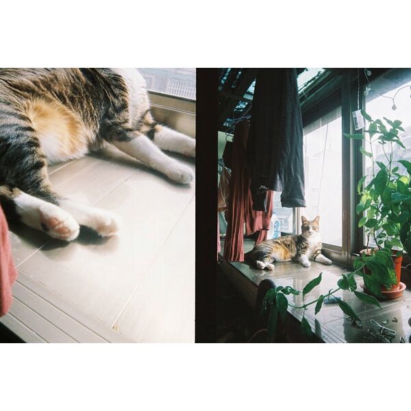 Kodak Ektar Aparat Analogowy Na Film Klisze 35mm / 2 Zdjęcia Na Klatkę / H35 / Biało-szary
