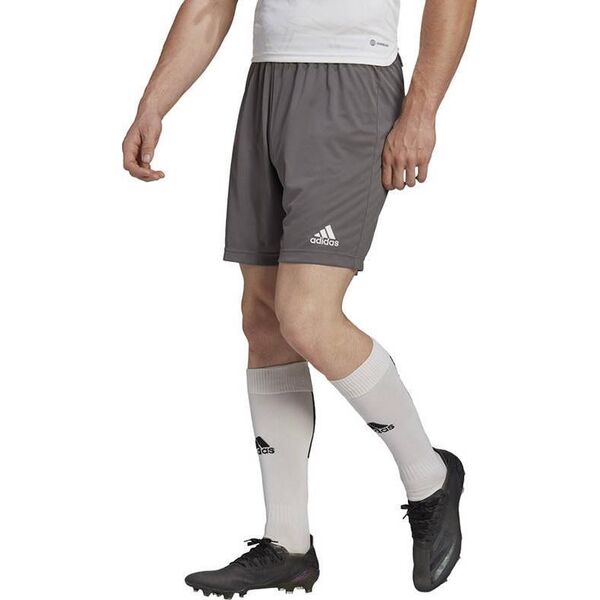 Adidas Spodenki adidas ENTRADA 22 Short H57505 H57505 szary XXXL