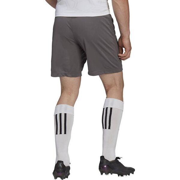 Adidas Spodenki adidas ENTRADA 22 Short H57505 H57505 szary XXXL