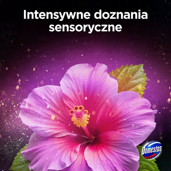 DOMESTOS Ταμπλέτα Τουαλέτας Aroma Lux Λάδι Ιβίσκου & Άγρια Μούρα 2 x 55 g