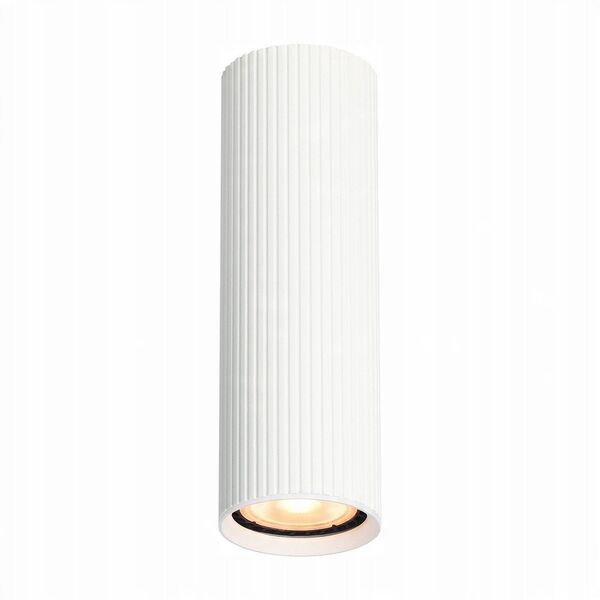Italux Rilok CLN-83920-M-WH plafon lampa sufitowa spot 1x10W GU10 biały