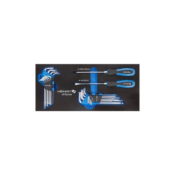 Sourcing HOGERT WORKSHOP CABINET + 214 pcs. TOOLS