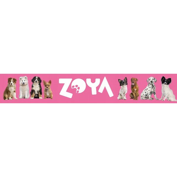 ZOYA COLDPRO Wołowina sucha karma dla psa 9kg