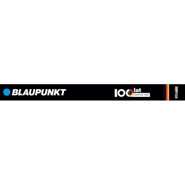 Osuszacz powietrza Blaupunkt ADH801