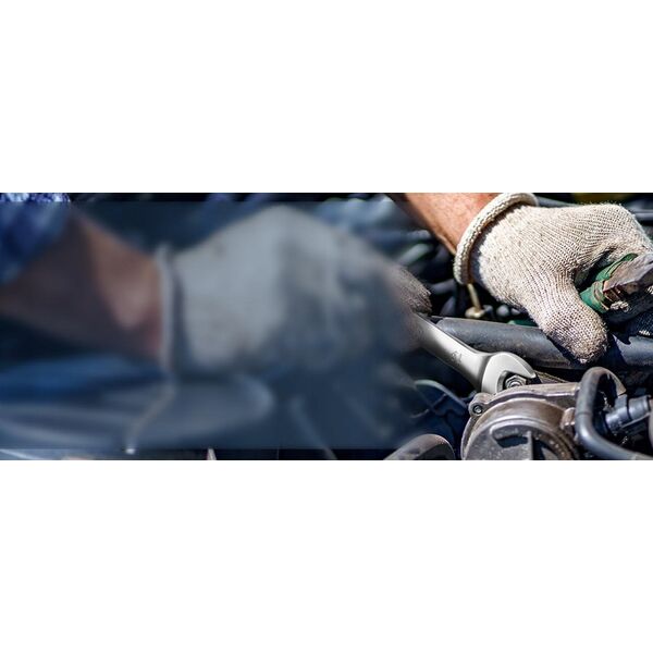 Καρυδάκι καστάνιας SR 269003312, 12mm