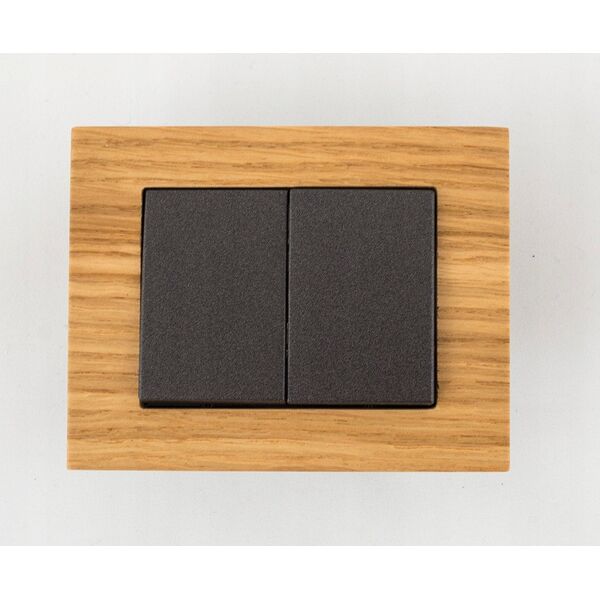 ANT XP500 SWITCH P510-020-12 V