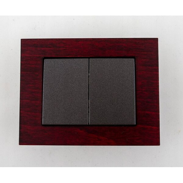 ANT XP500 SWITCH P510-020-12 V