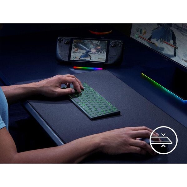 Razer Joro US