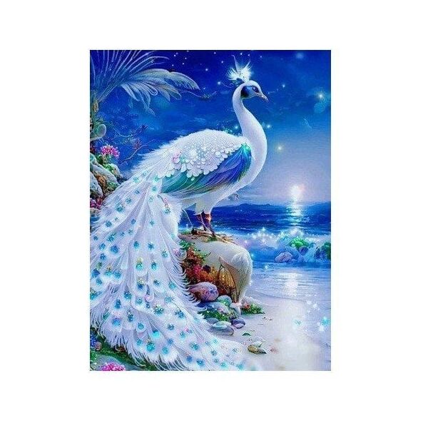 Norimpex Diamentowa mozaika Paw biały na szafirowym wybrzeżu 30x40cm 2000403