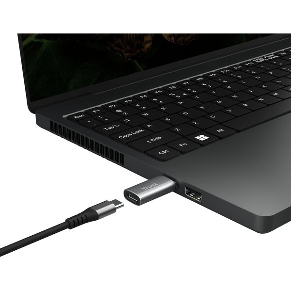 Adapteris Trust Calyx USB-C to USB-A 2 pack Black 8713439255737