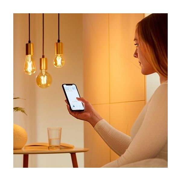 WiZ WiZ,ST64 Edison,7W,2000-5000,ST64,E27,2 pcs lightsource + 1 remote controller