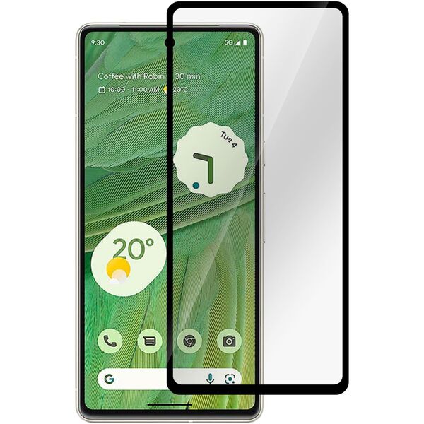 Google Pixel 9/9 Pro Screen