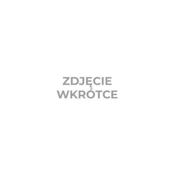 Pilnik ślusarski płaski rpsa 125/1, z rękojeścią