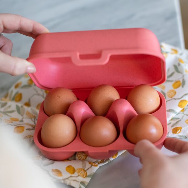 Koziol Pojemnik na jajka EGGS TO GO MINI, na 6 sztuk, KOZIOL