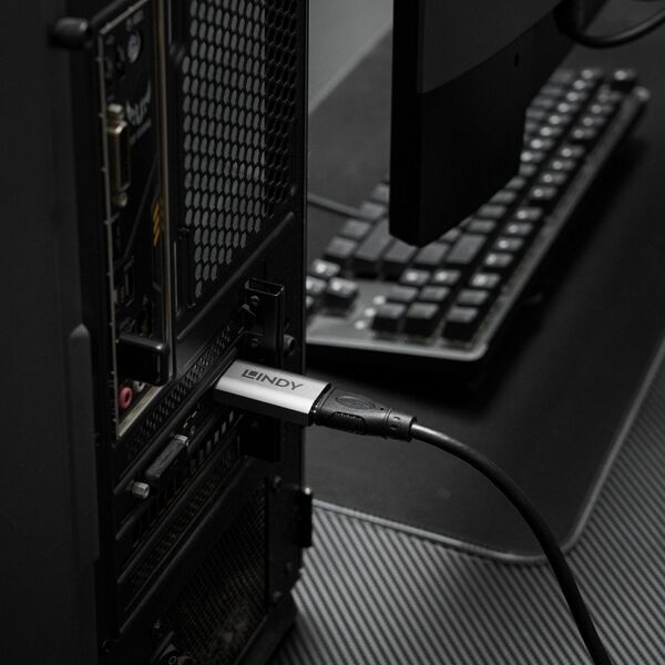 Lindy 41095 zmieniacz płci / kabli DisplayPort HDMI Type A Szary