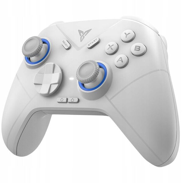 Universal controller for games Bluetooth Flydigi DIREWOLF 2 white