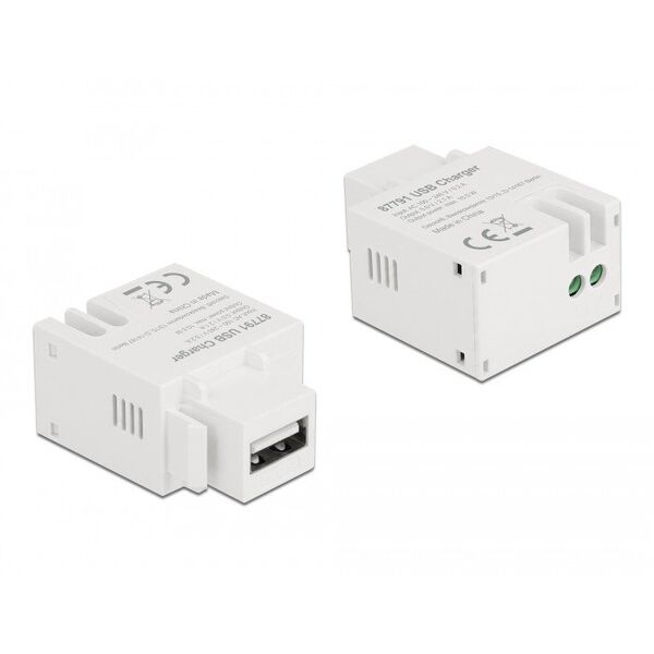 DeLOCK Keystone Module USB Type-A Charging Port 2.1 A white, Flat, White, USB A, Terminal, Female, Female