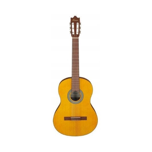 Ibanez GA3-OAM guitar