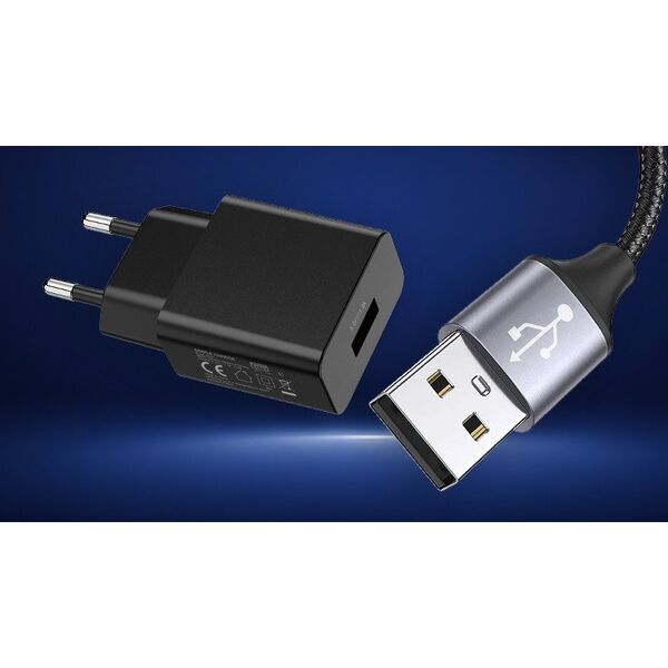 Φορτιστής δικτύου myPhone Simple Charge 1A BLACK / CZARNY