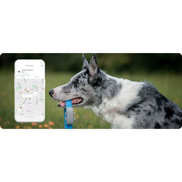 Notione lokalizator GPS PET PLUS dla zwierząt