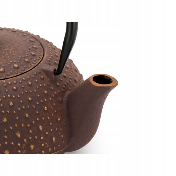 Bredemeijer Bredemeijer Teapot Anhui 0,9l Μαντεμένιο μωβ 153061 14214637 8720052016409