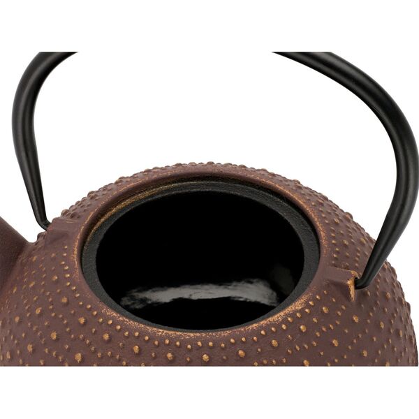Bredemeijer Bredemeijer Teapot Anhui 0,9l Μαντεμένιο μωβ 153061 14214637 8720052016409