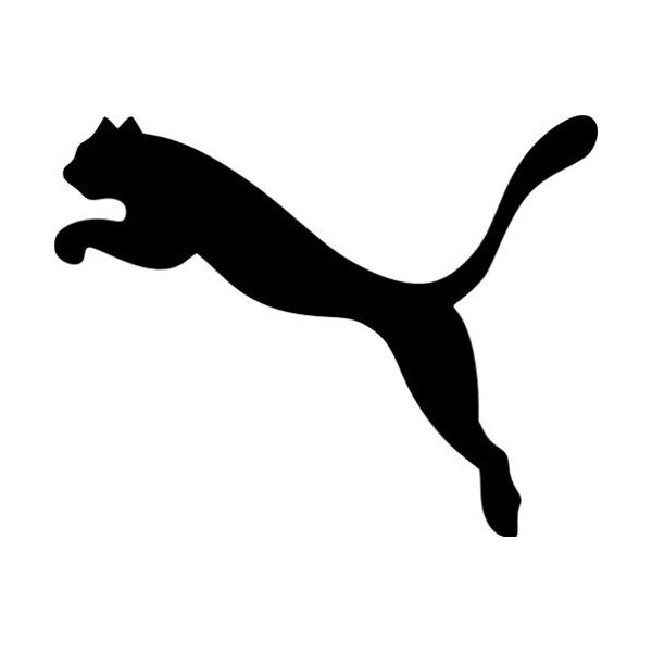 Sportinė kuprinė Puma Phase College, 11L ruda