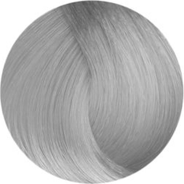 Fanola Toner do włosów 100ml Silver (1)
