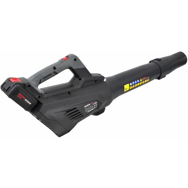 HOOZAR DMUCHAWA DO LIŚCI 18V 1x5.0Ah LB15-T1