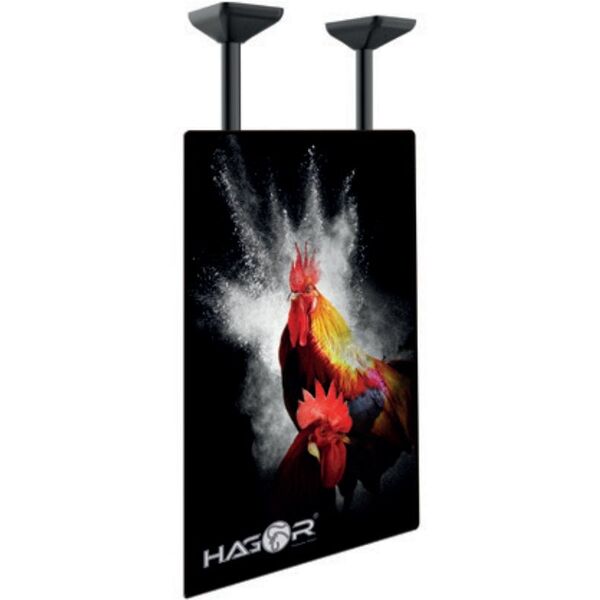Hagor HAGOR PLD Single HD Portrait Schwerlast-Deckenhalterung fuer 191-254cm 75-100Zoll screen max VESA 600x900mm max Traglast 100kg