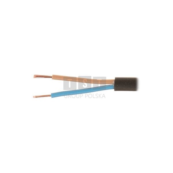ΕΠΙΠΕΔΟ ΗΛΕΚΤΡΙΚΟ ΚΑΛΩΔΙΟ OMYP-2X0.5/B