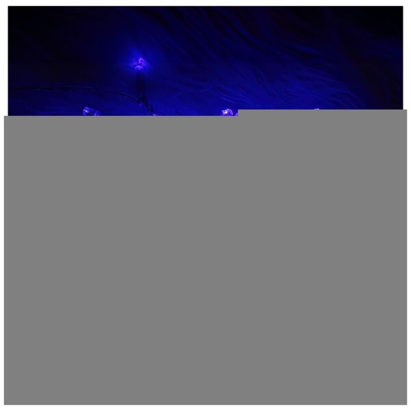 String light 100LED 8m blue Forever Light