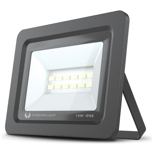 Floodlight LED PROXIM II 10W |6000K| IP66 Forever Light