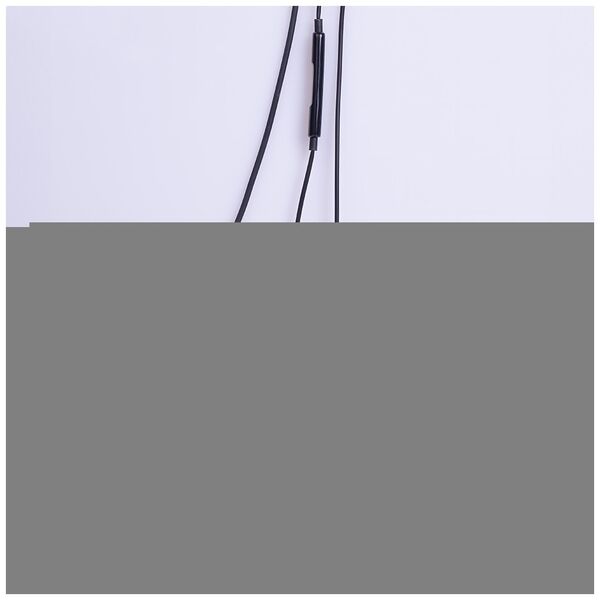 Maxlife wired earphones MXEP-04 USB-C black