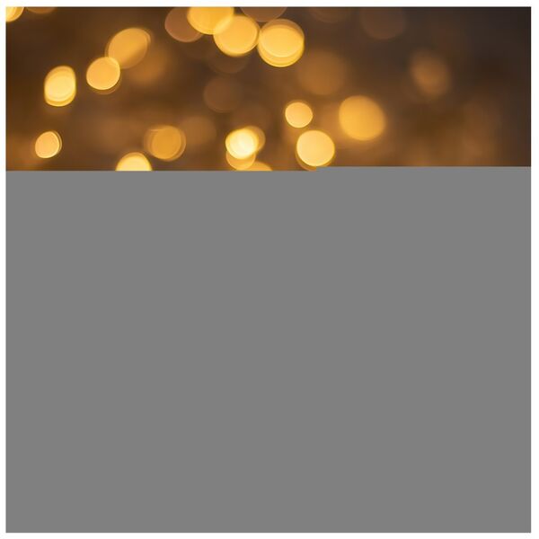 String light 240LED 19,2m warm white Forever Light