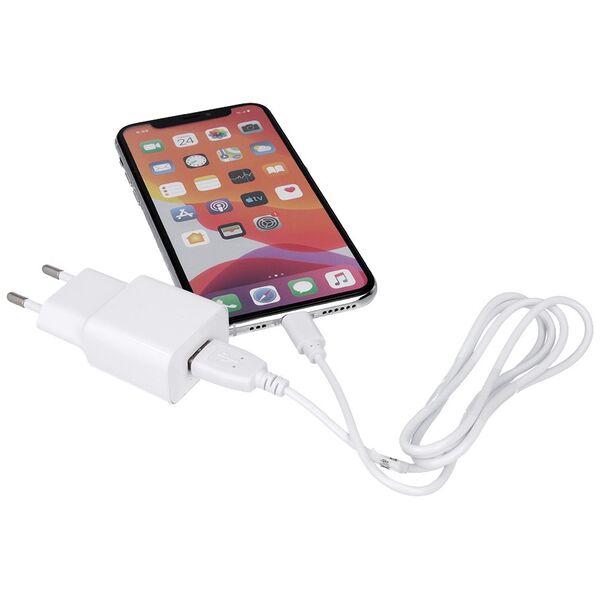 Maxlife MXTC-01 charger 1x USB 2.1A white + microUSB cable 5900495761668